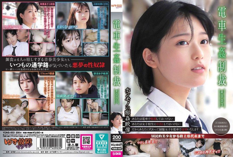 YDNS-003